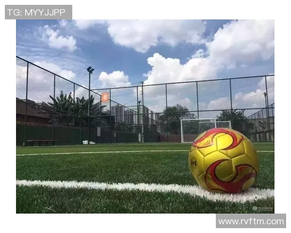 深入分析成都羽毛球队的运营策略与发展模式探讨