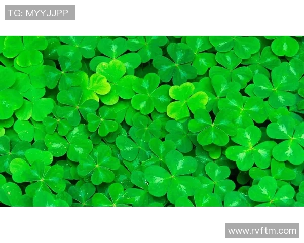 足球明星高清绿色壁纸精选展现运动魅力与自然和谐之美